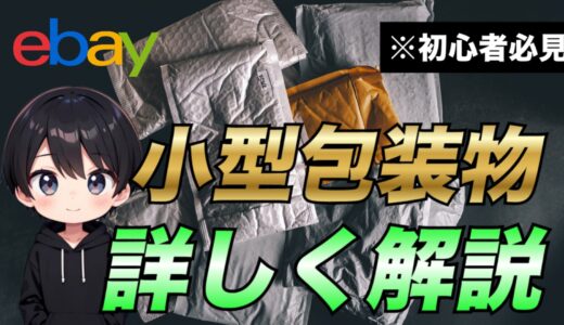 【eBay輸出】小型梱包物って何？重さや大きさ・海外への他の配送方法について解説