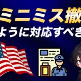 【eBay輸出】デミニミス・ルール撤廃でセラーはどのように対応すべきか！？【DDP/DDU】